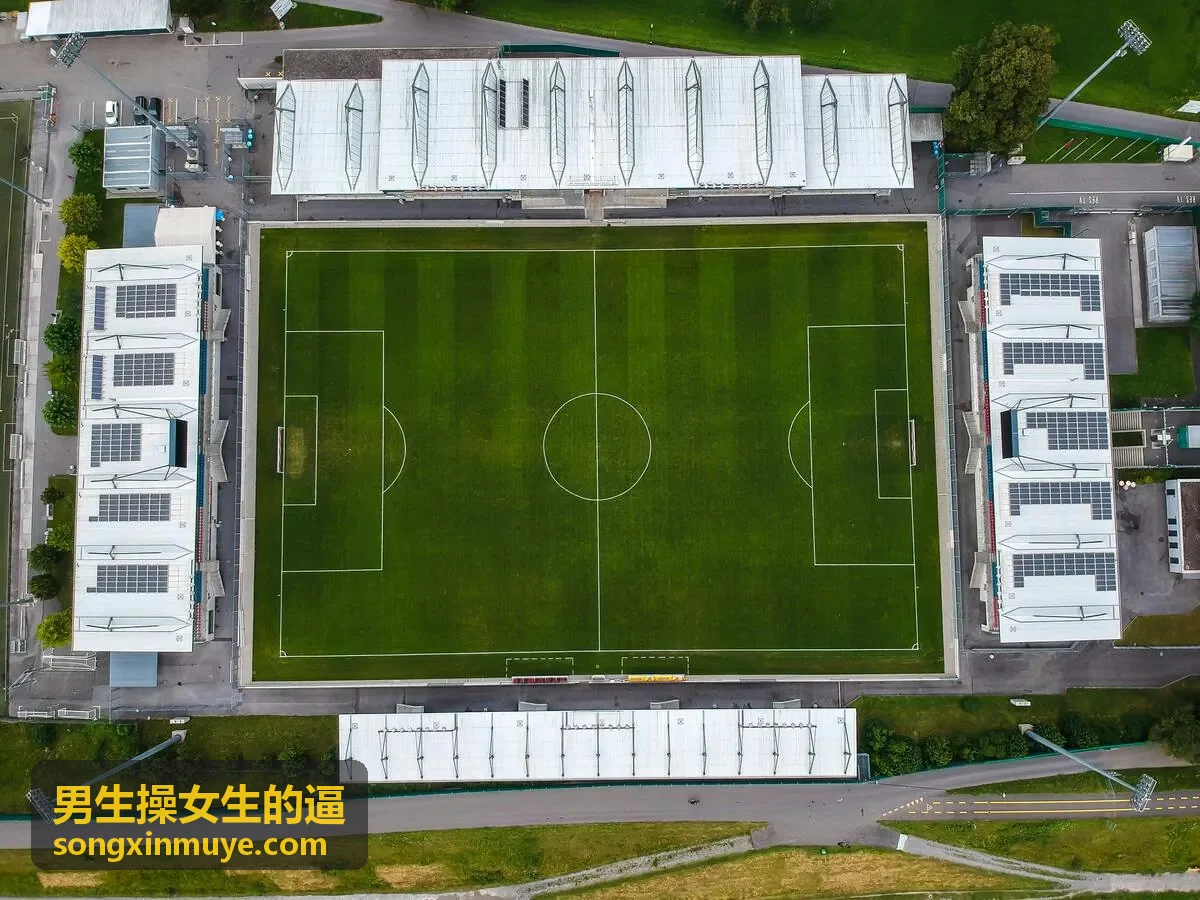男生操女生的逼 姿势技巧封面图